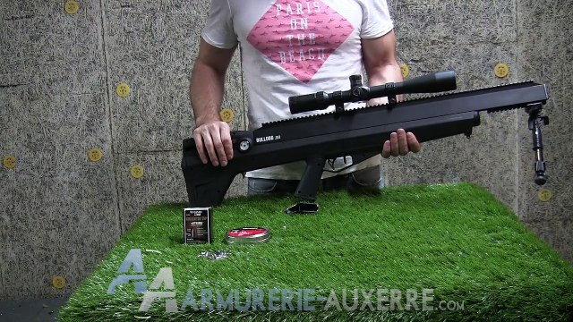 Benjamin Bulldog 357, carabine à plombs PCP