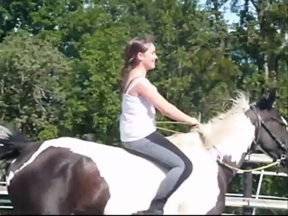 A cheval en liberté