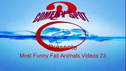 BEST FUNNY ANIMALS COMPILATION 2013 2014