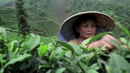 Drink Tea, Make Friends, Living Yangtze by Eric Valli for Swarovski Waterschool