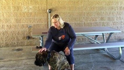 Owner testimonial: New Orleans Dog Trainers