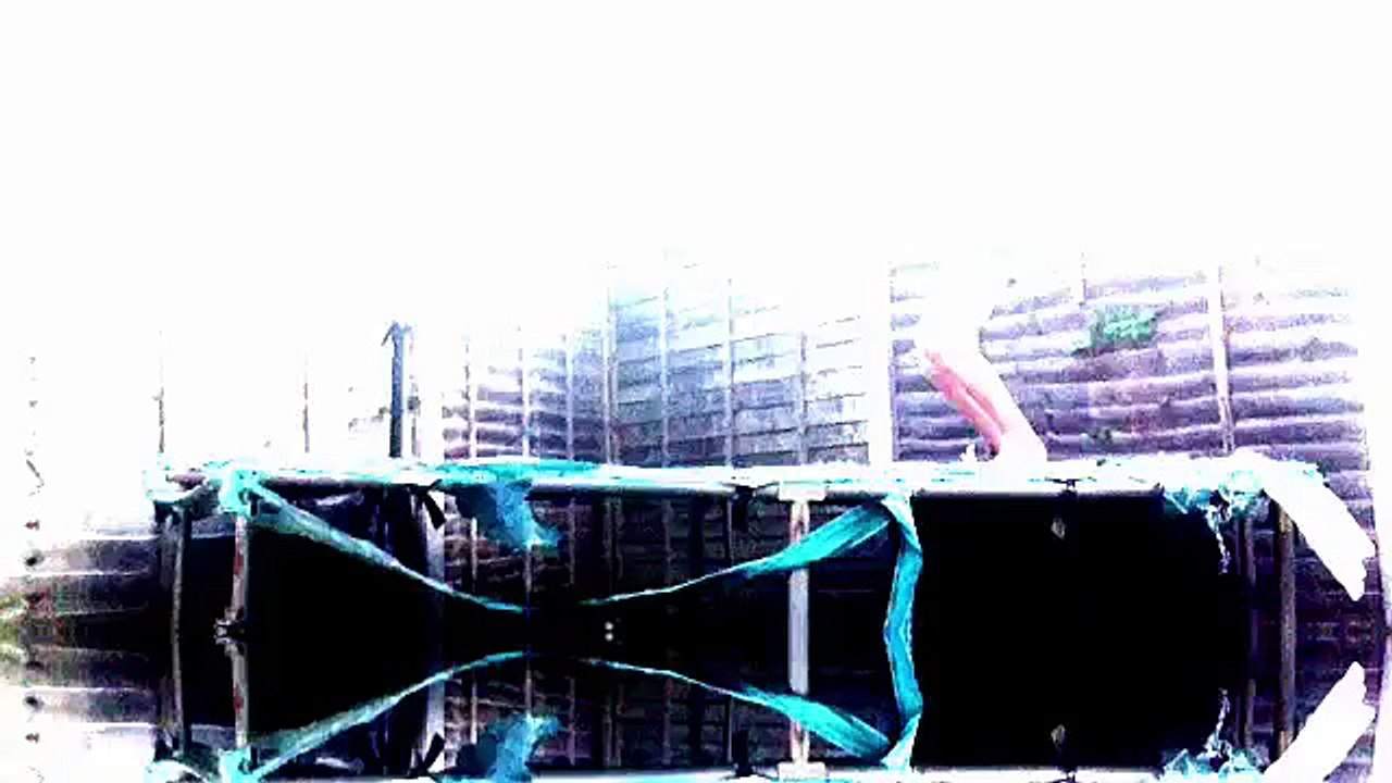 "Cute Overload" Fan Video (outside edition)