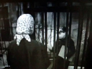 400 Blows