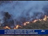 Incendio en la reserva Chimborazo