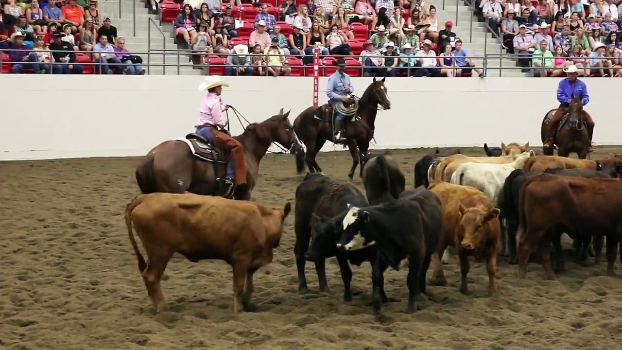 Mary Jo Milner's Championship Cutting Horse Run, Calgary Stampede 2014