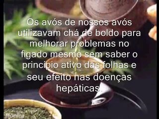 Trabalho de Filosofia- Senso comum