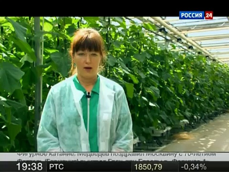 Биоинженерия
