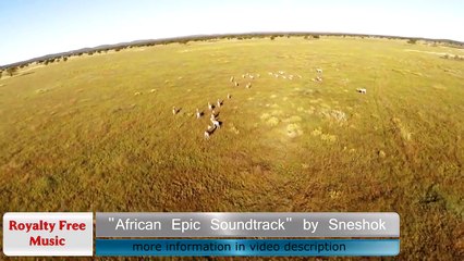 African music - African Epic Soundtrack (ROYALTY FREE MUSIC TRACK)