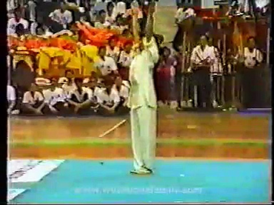 Wushu Ditang Quan- Long Rong Biao