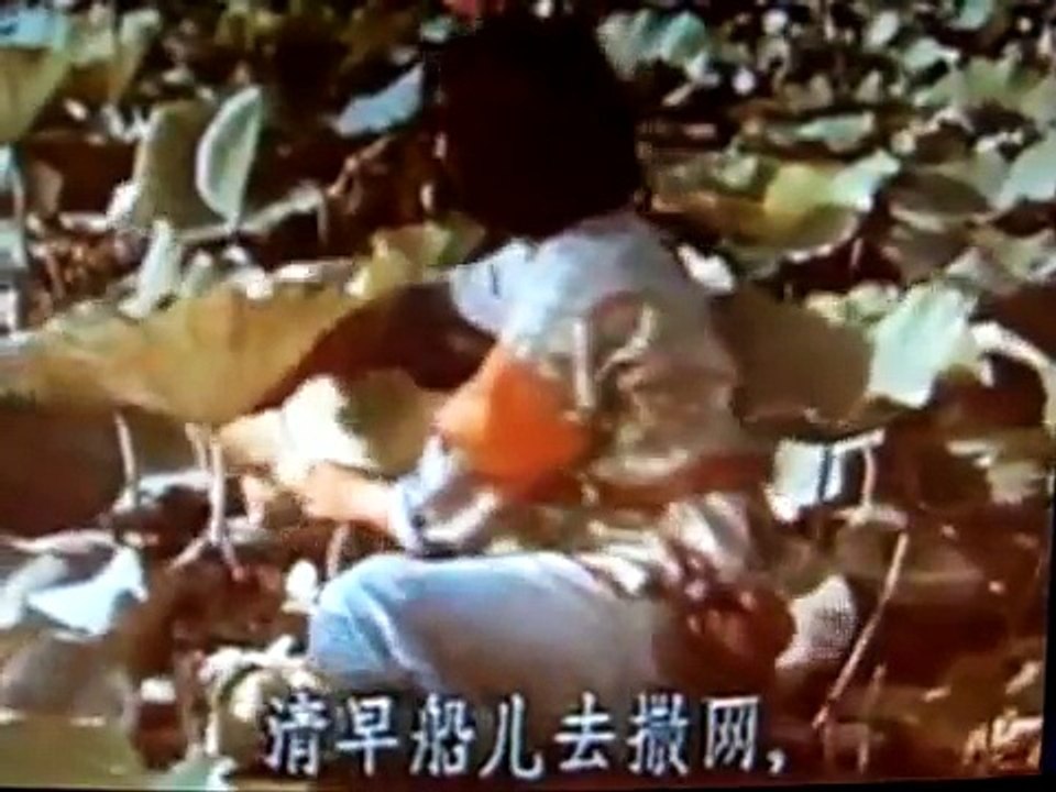 洪湖水，浪打浪（王玉珍/甫人）.AVI