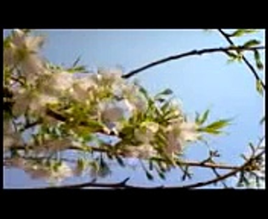 ياسر الدوسري - أإله مع الله! تلاوة مؤثرة جداً [English Subtitles]