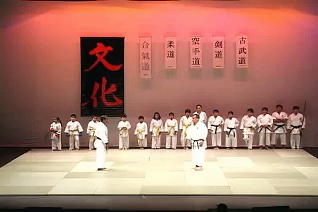 APJ Técnicas de Karate Estilo Shorin Ryu