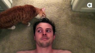 A Cat's Guide to Loving a Human000045 911 000106 706
