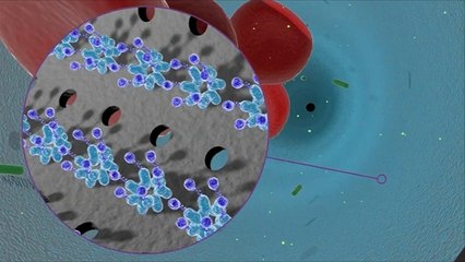 التوصل لعلاج مرض "خمج الدم"