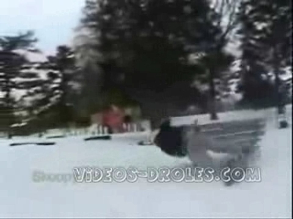 compilation gamelles en tout genre II