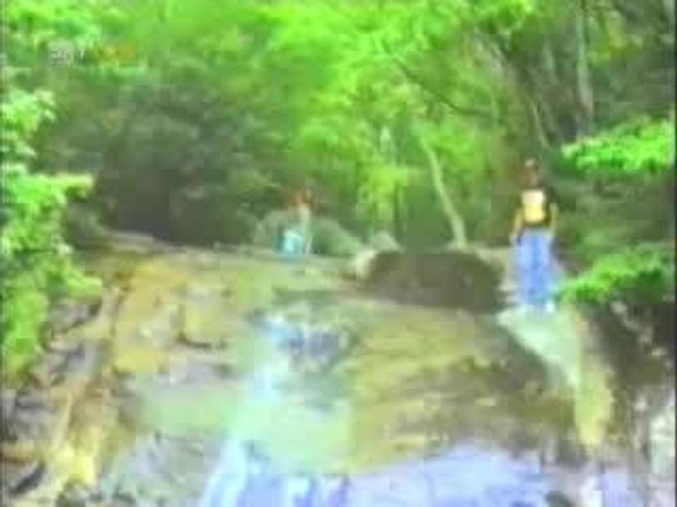 Youve Been Framed Outdoors