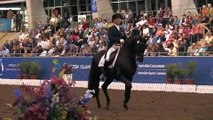 Heath Ryan and Regardez Moi 2009 Horseland Australian Championships