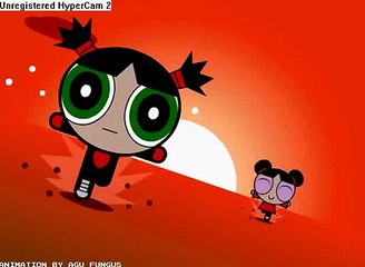 Pucca Chasing garu
