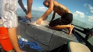 shark fishing july 2011 Galveston,tx