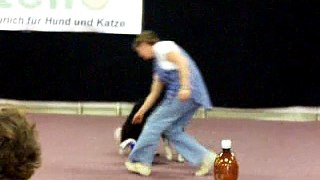 vitello dog's sport, dog dance 2007, 7