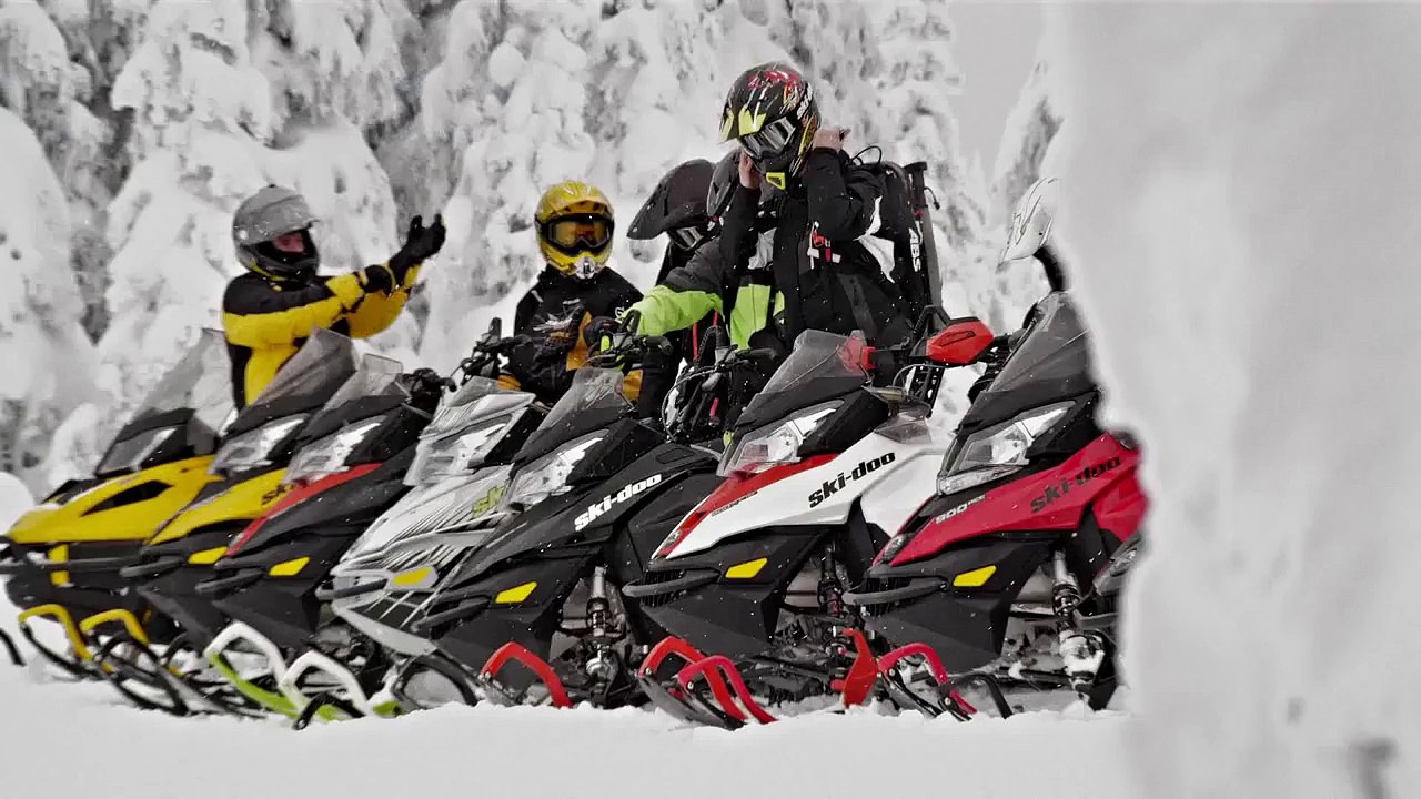 Rotax ACE 900 and 600 Engines