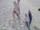 Afghan Camel Great kicked By US soldier ...