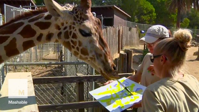 Animal artists paint for charity (and treats)