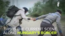 Chaos Reigns Across Hungary's Border