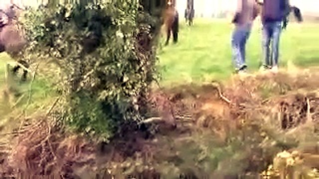 Ballymac Charity Hunt 2011