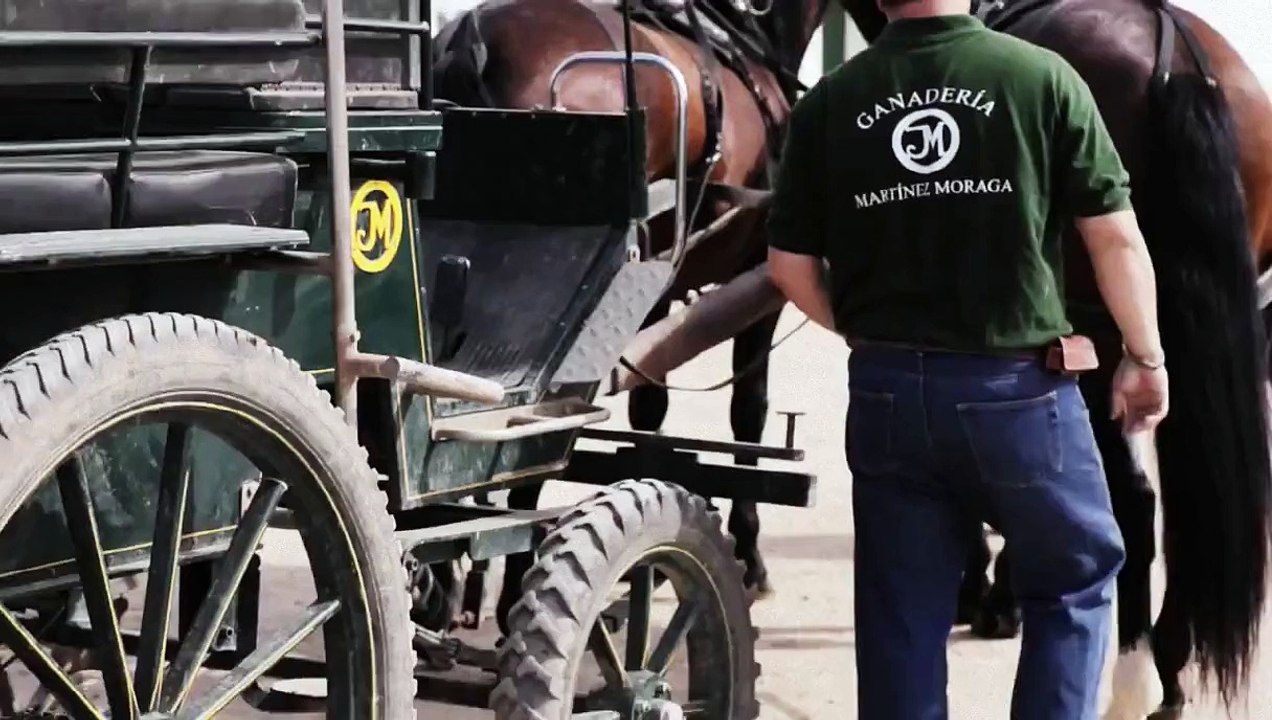 GANADERÍA MARTÍNEZ MORAGA: VÍDEO CORPORATIVO
