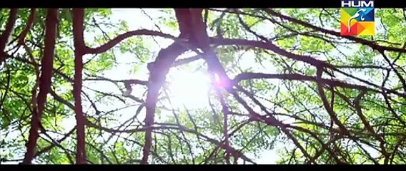 Tumharay Siwa OST Song By Hum Tv