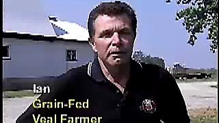 Meet a Canadian Grain Fed Veal Farmer Video