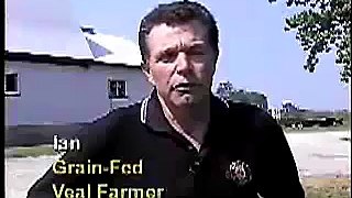 Caring for Veal Calves Video