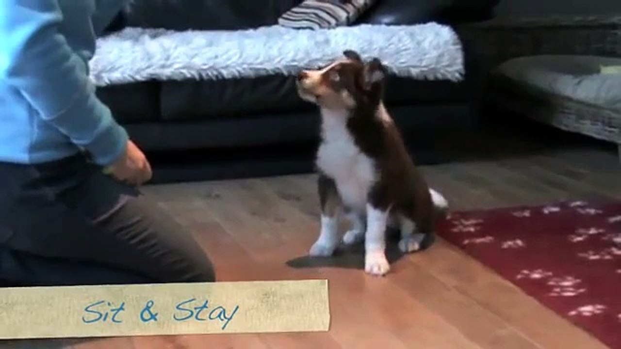 Loox at 11 weeks