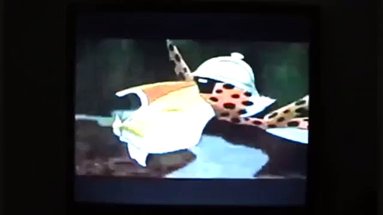 Slow Messy Chester Cheetah Japanese Wild Take Cartoon