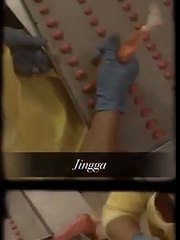 Lidah Kucing Rainbow