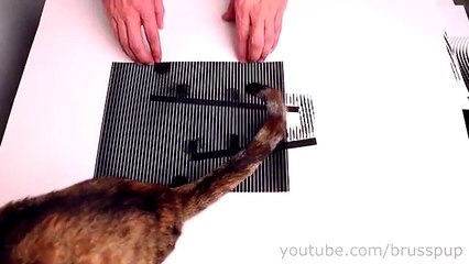 Incroyable Animés Optical Illusions! n ° 6