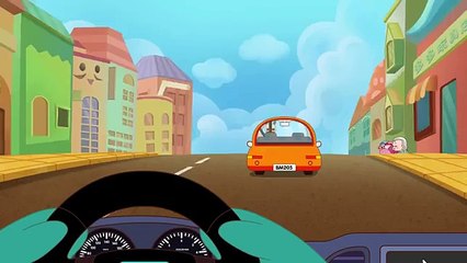 133 Comity zebra civilized and harmonious