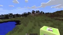 Sky Totally Loses It - Top 20 Minecraft Countdown