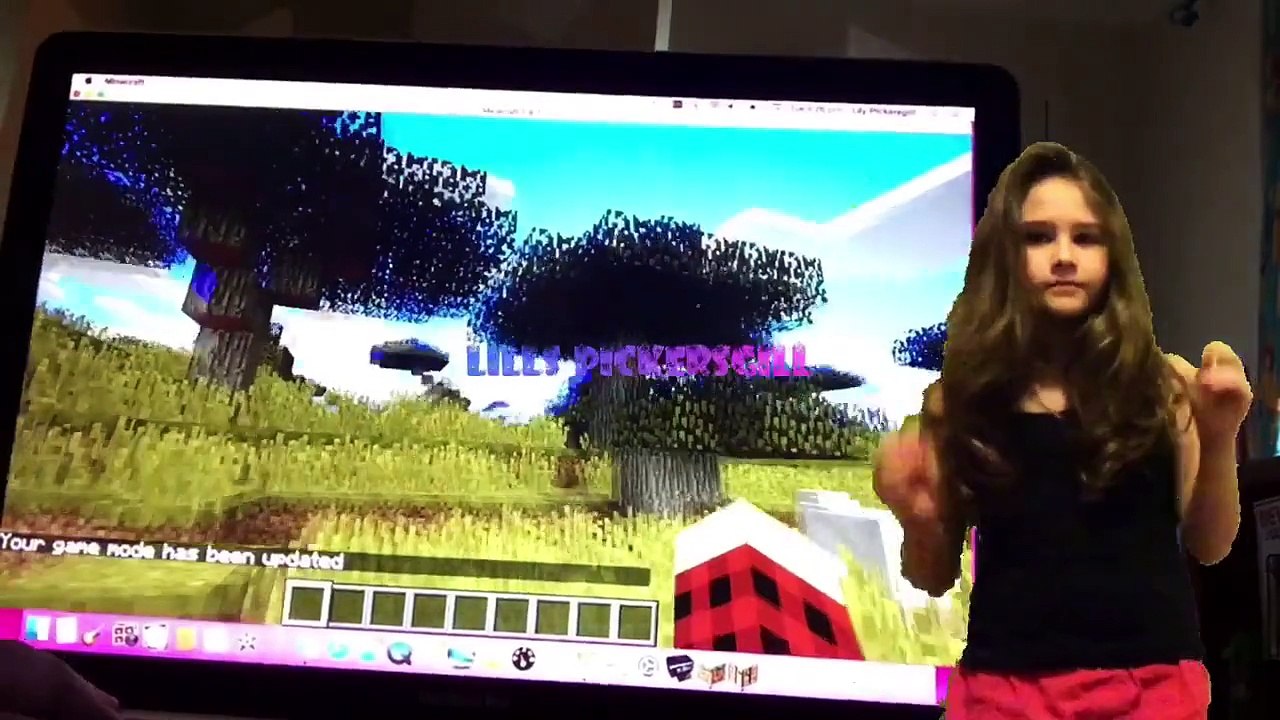 "Minecraft ;)" Fan Video