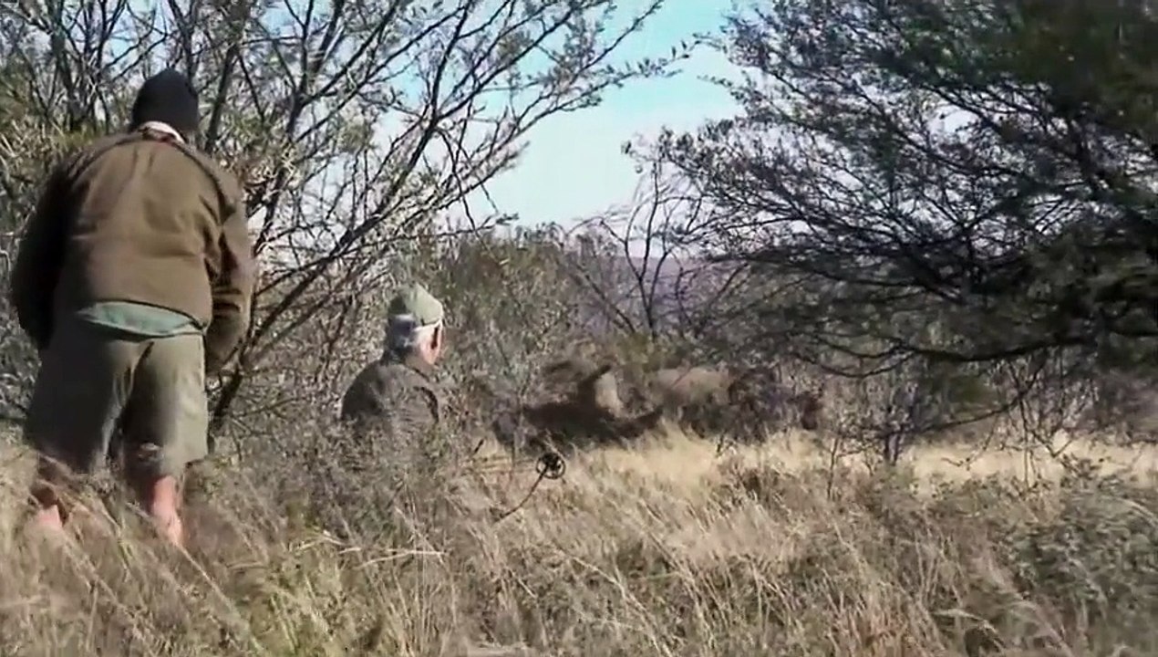 Rodolfo Barrera - Bowhunting - Rhino