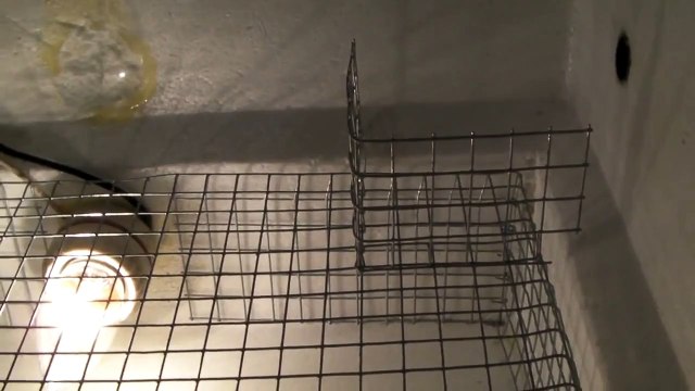Homemade Egg incubator.