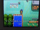 EV Training Hotspots in Pokemon Heart Gold And Soul Silver Versions
