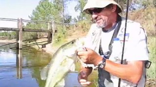 Nuno Bizarro Bass Fishing In Portugal