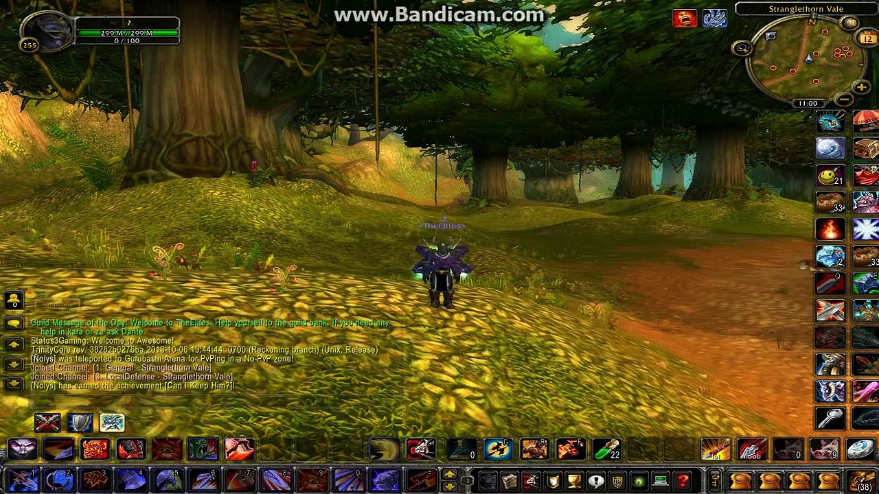 World of warcraft lich king 3.3.5 HACK