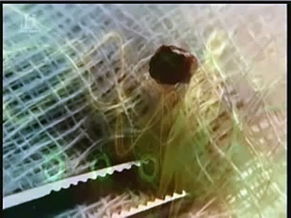 " Dáreček "  z UFO