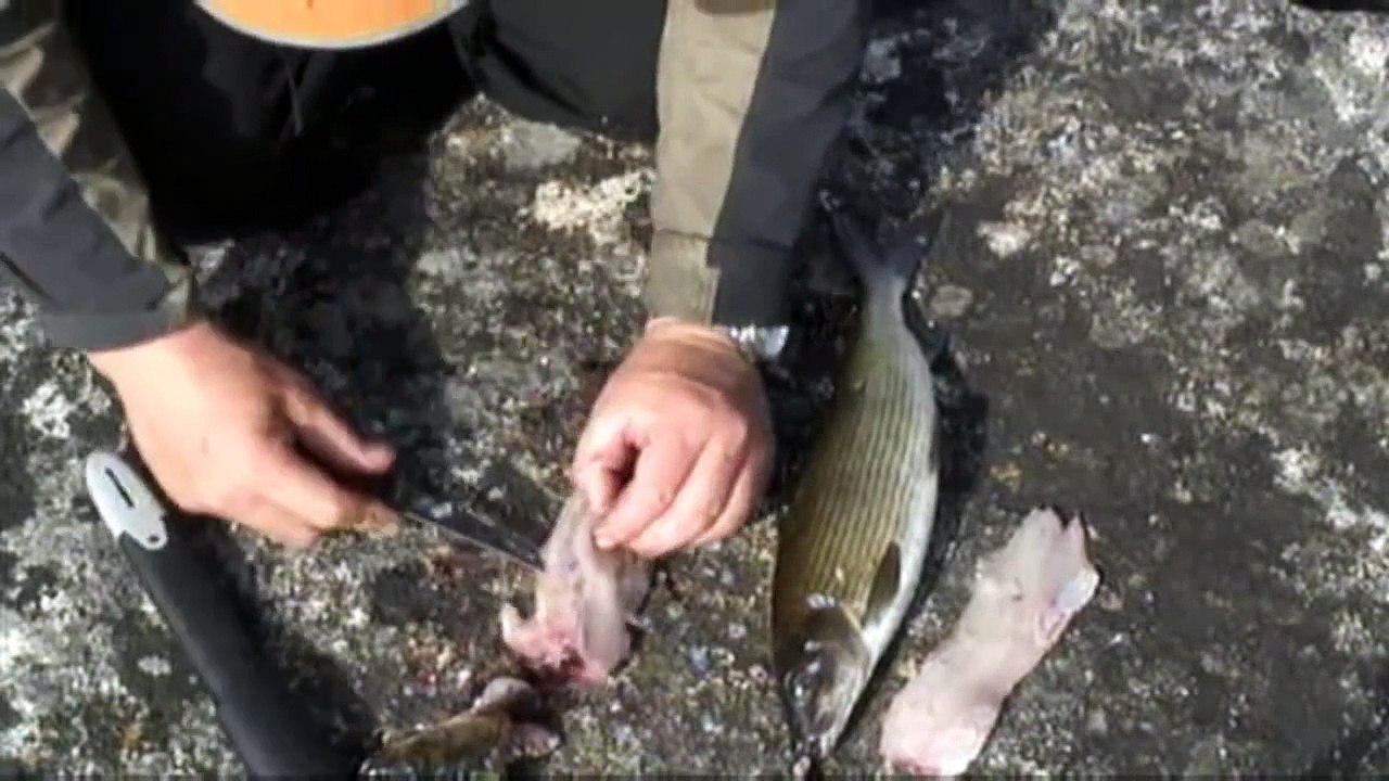 Slik sløyer du fisk ~ Lars Monsen's Tips og Triks (HD)