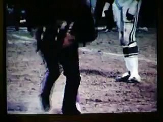 Baltimore colts mike curtis and the fan