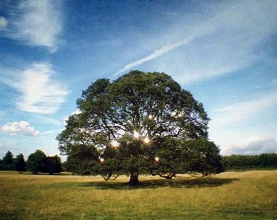 Adrian Paci, Per Speculum, 2006