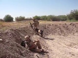 Taliban Goat attacked British Solider